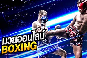 แทงมวยสากล